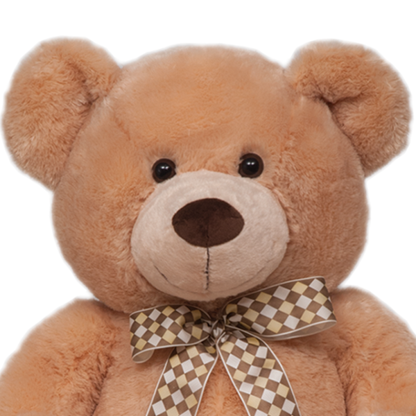 URSO JAMES G - 5295 - Imagem 2